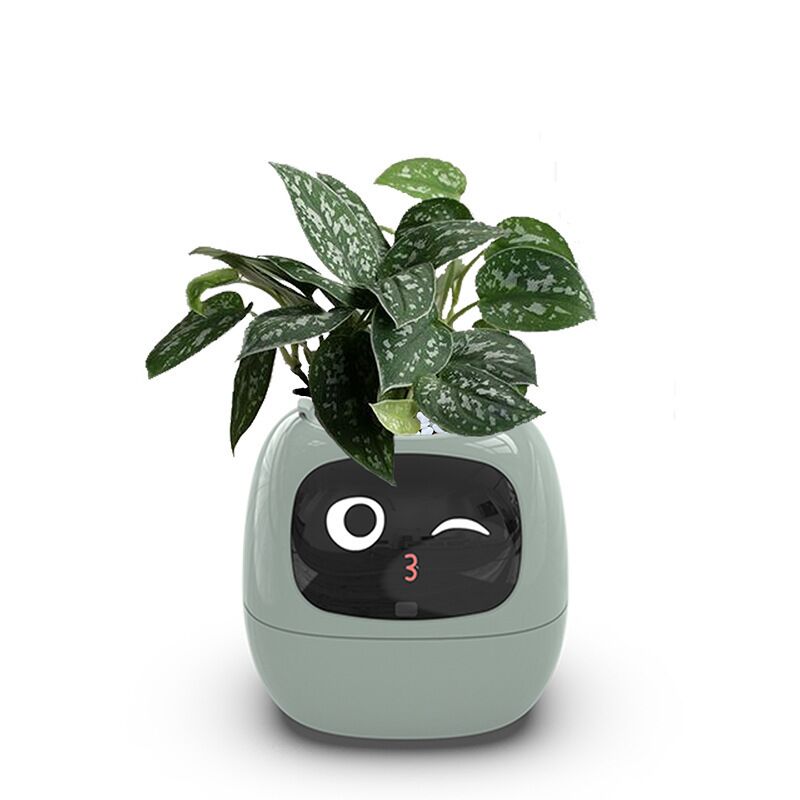 Pot Connecté Intelligent – Image 2