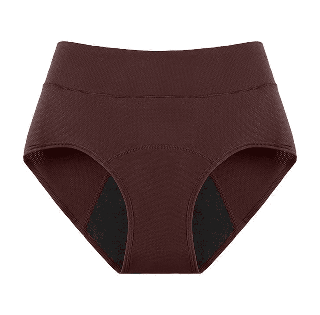 everdries-culotte-face-dos-marron