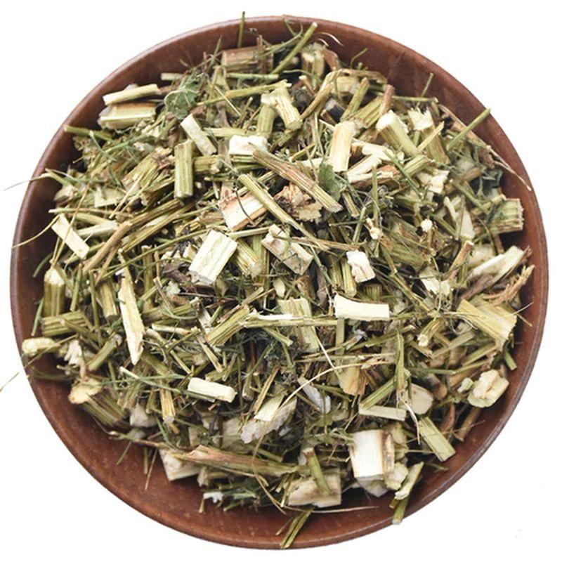 Graines artemisia annua – Image 3