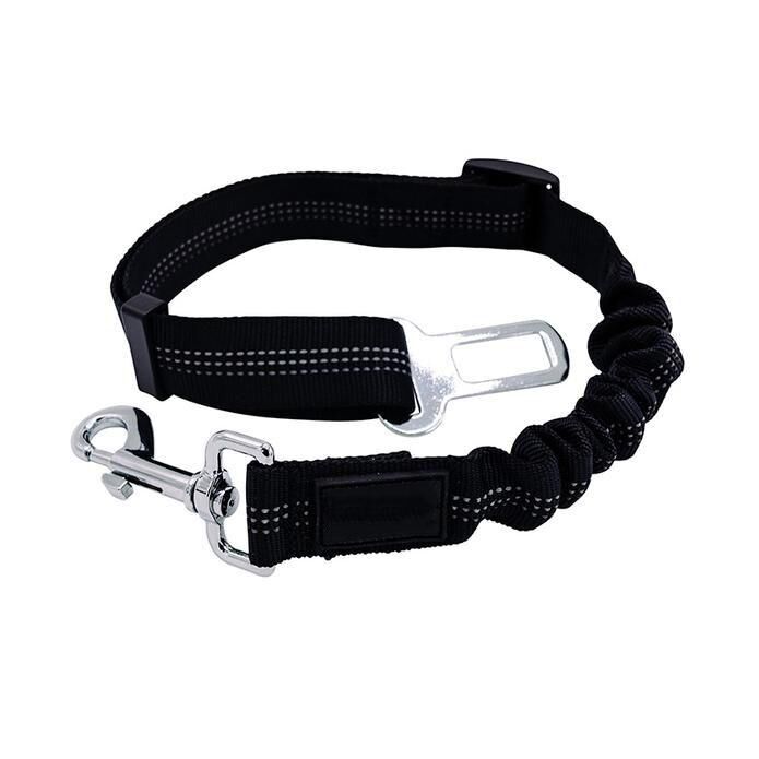 Ceinture de sécurité pour chien - petsafe katifa