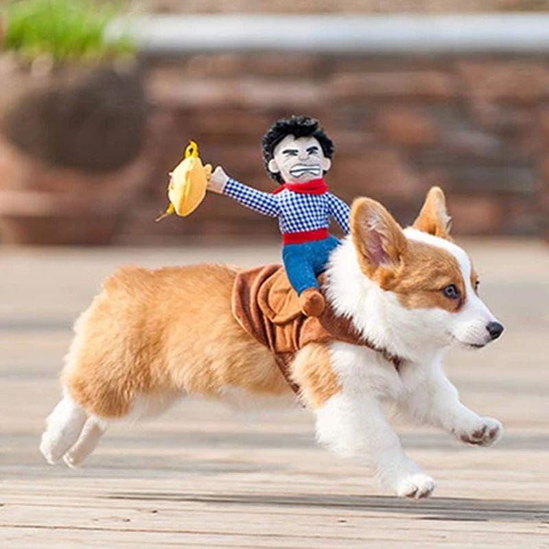 Costume de cowboy pour chien - wodog