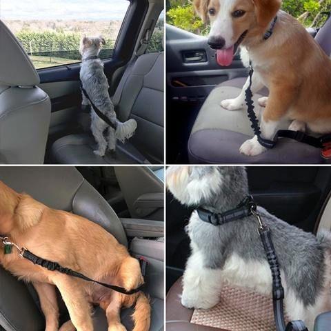 Ceinture de sécurité pour chien - petsafe katifa – Image 7